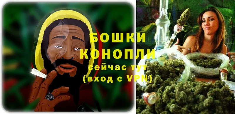 дарк нет формула  Малая Вишера  МАРИХУАНА SATIVA & INDICA 